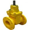 Aeon Gate valves